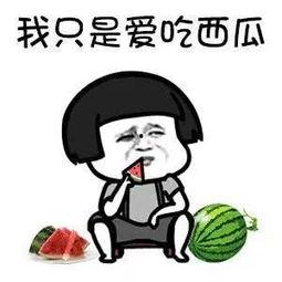 娱乐体育吃瓜圈,三界交汇的瓜界风云