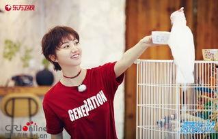 娱乐圈吃瓜王源,娱乐圈吃瓜王，揭秘明星幕后故事